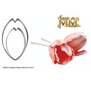 TRANSPARENT KIT FOR FLOWERS